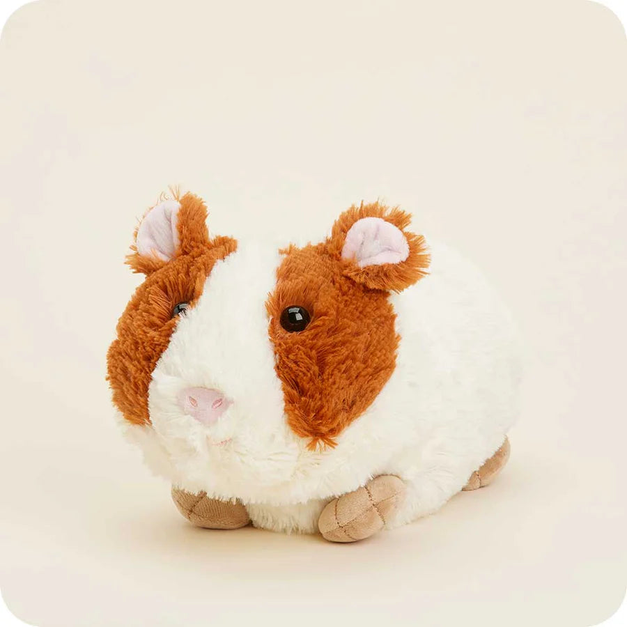 guinea pig