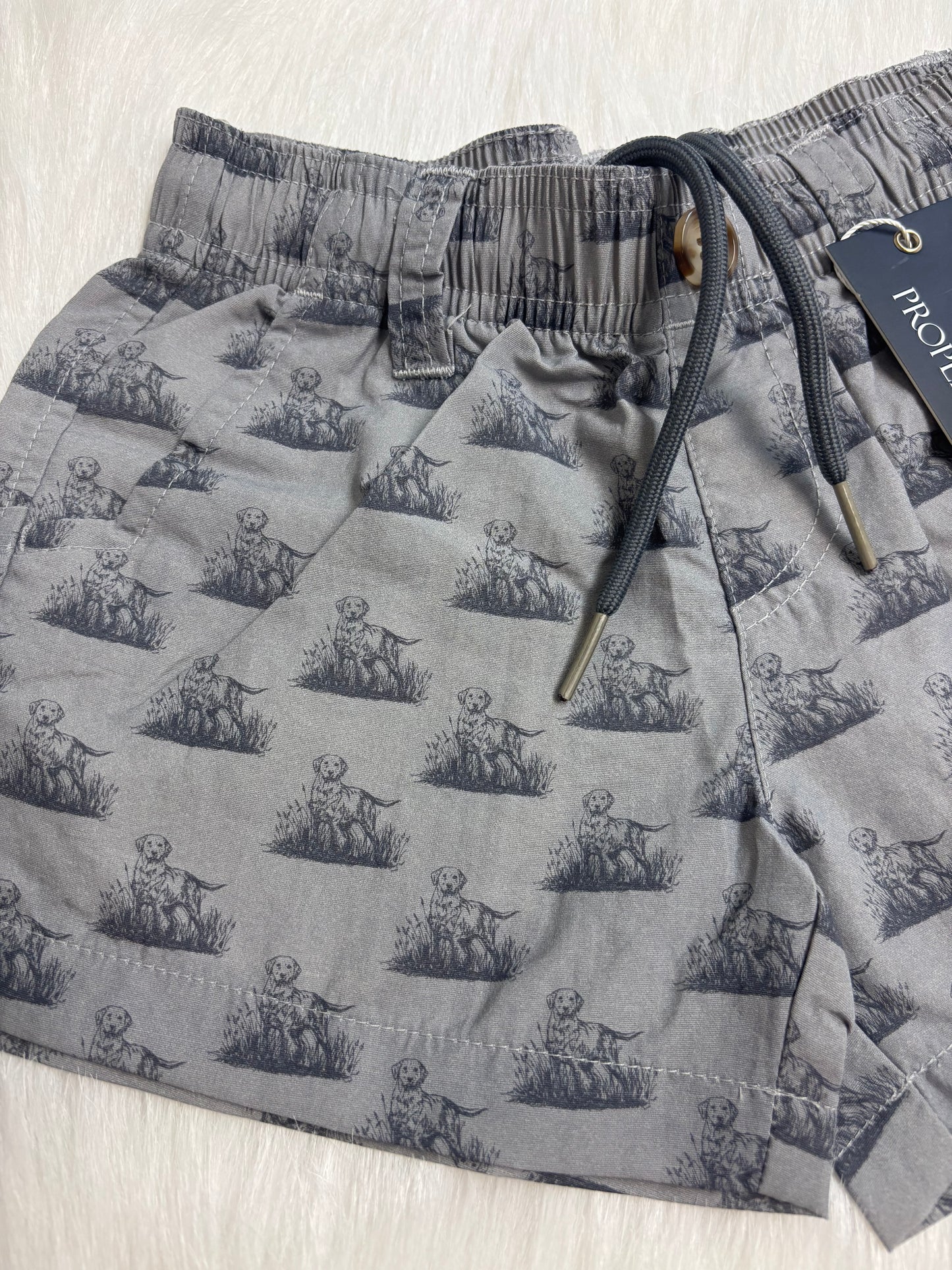 Boys Mallard Shorts -Labrador-