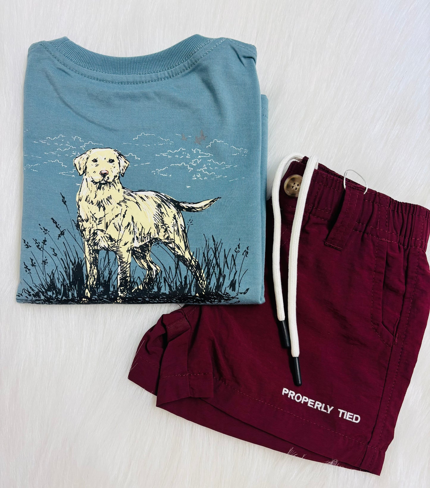 Properly tied Blue Dog tee