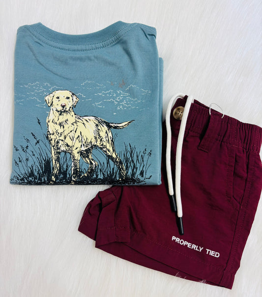 Properly tied Blue Dog tee