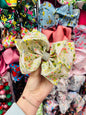 Green Easter bling Bow